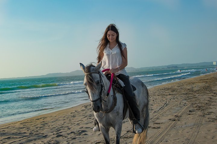 Horseback Riding Tour in Beach of Cartagena - Image 1