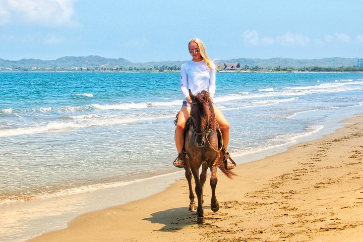 Horseback Riding Tour in Beach of Cartagena - Image 5