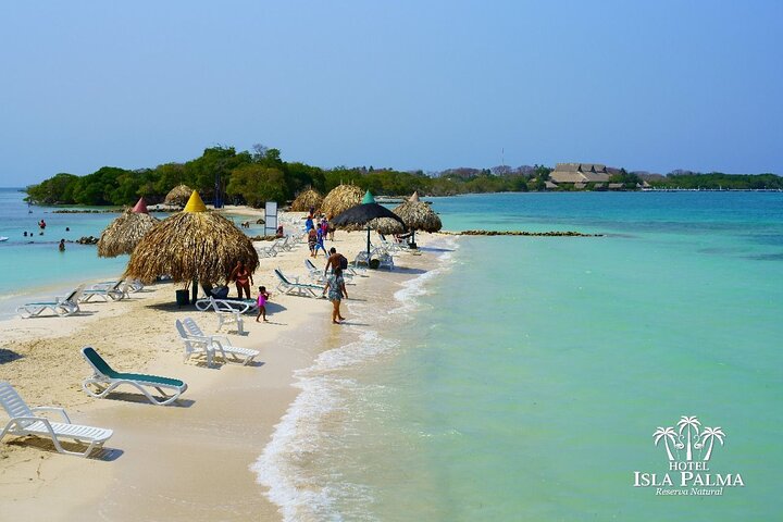 isla palma  - Image 4