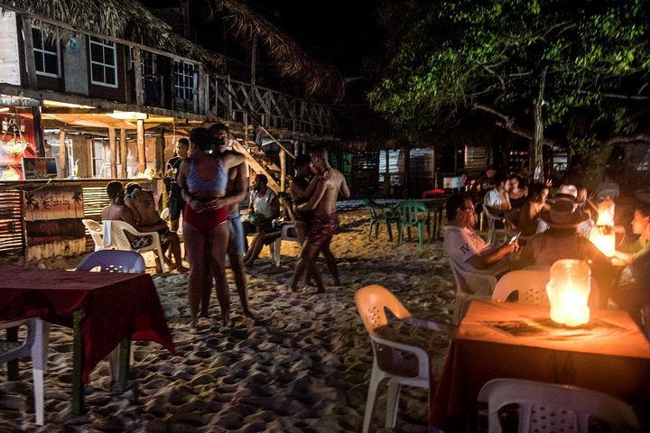 Lodging at the beach (baru), free seedling - Image 4