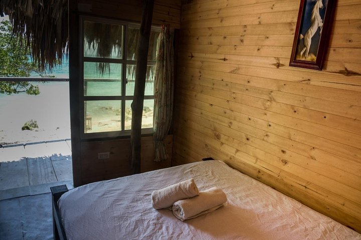 Lodging at the beach (baru), free seedling - Image 1