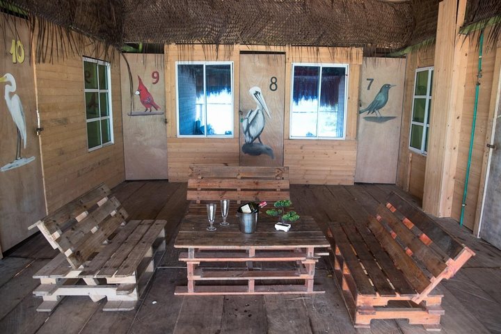 Lodging at the beach (baru), free seedling - Image 3
