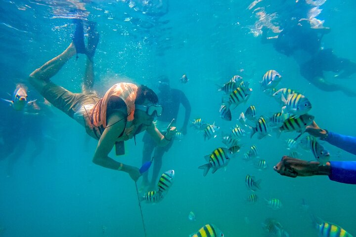 Magical Full-Day Tour Through The Mangroves And The Beach In Isla de Barú - Image 4