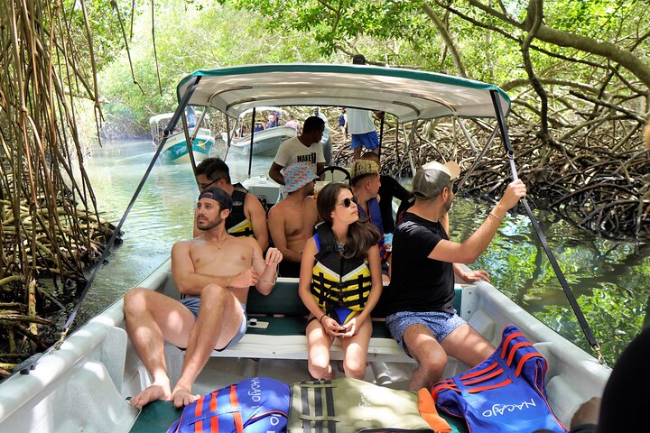 Magical Full-Day Tour Through The Mangroves And The Beach In Isla de Barú - Image 5