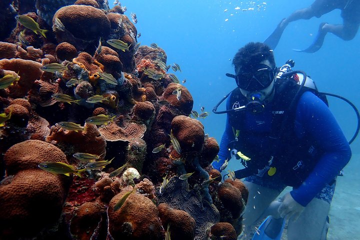 PADI Open Water Diving Course - Image 3