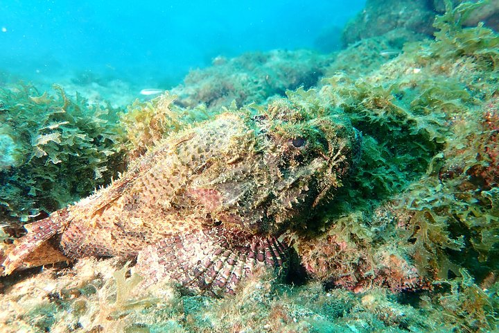 PADI Open Water Diving Course - Image 1