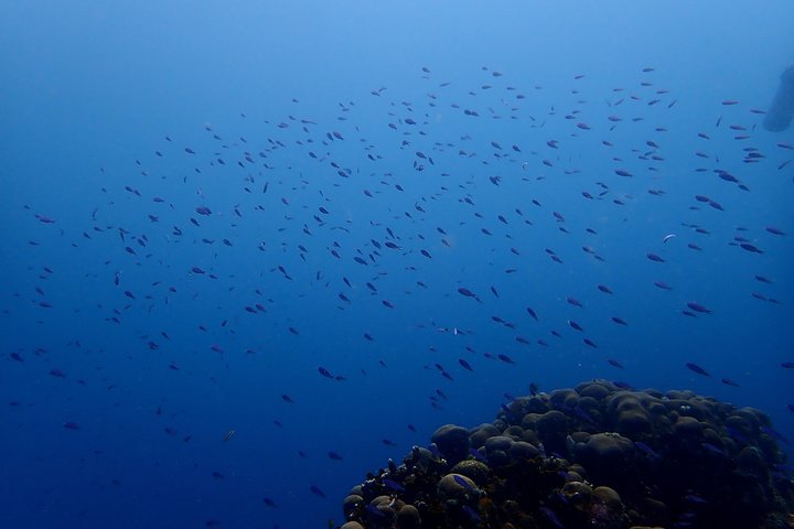 PADI Open Water Diving Course - Image 4