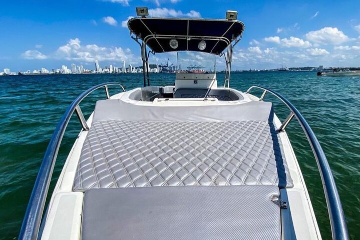 Private Boat Tour Full day trip to Rosario Islands, Cholon, Baru  - Image 4