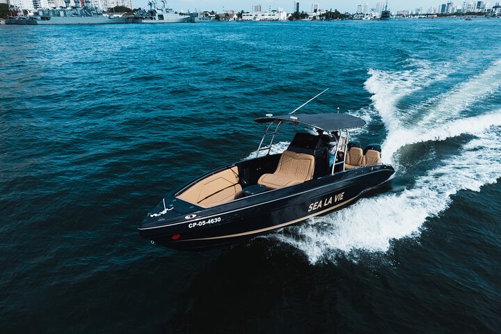 Private Full-Day Luxury Boat Rental Rosario Islands - Image 4