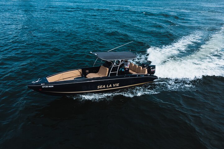 Private Full-Day Luxury Boat Rental Rosario Islands - Image 1