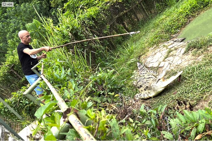 Private Reptile Zoo Adventure Tour with Guide in Cartagena  - Image 1