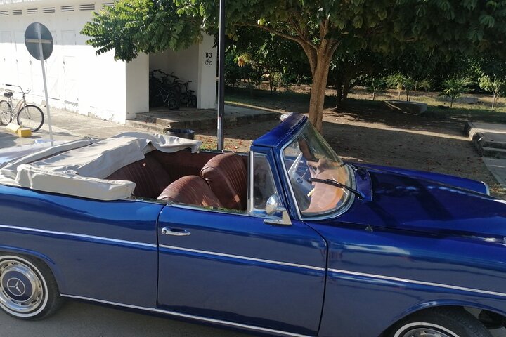Private tour and photo session in Cartagena - Image 5