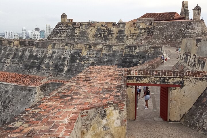 Private Tour & the best coffee of the world in Cartagena (Also for cruisers) - Image 4