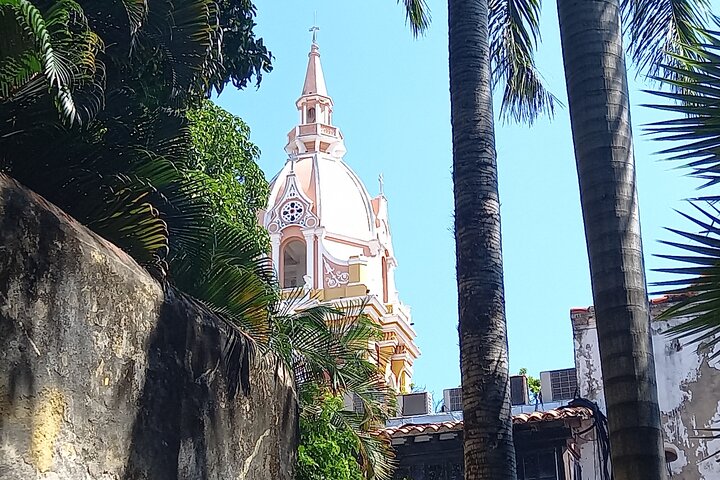 Private Tour & the best coffee of the world in Cartagena (Also for cruisers) - Image 3