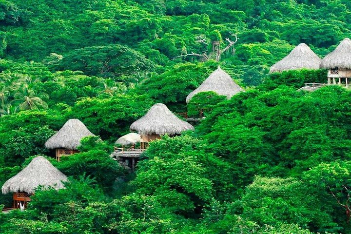 Private Tour to Tayrona National Park - Image 5