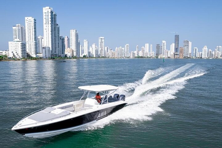 Rent 8 Hours Luxury Boat AWA41' for the Rosario Islands - Image 1