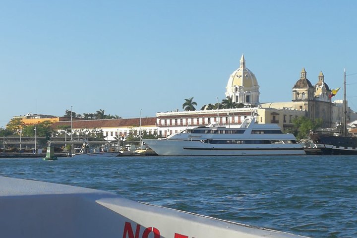 Rosario Islands Private Boat Tour - Image 4