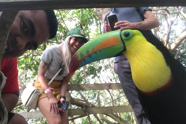 Small group tour to the Aviary from Cartagena - Image 5