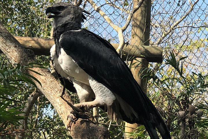 Small group tour to the Aviary from Cartagena - Image 4