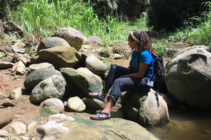 The Jaguar´s Footprint: Hike and Music Day Trip from Cartagena - Image 5