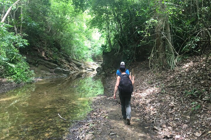 The Jaguar´s Footprint: Hike and Music Day Trip from Cartagena - Image 1