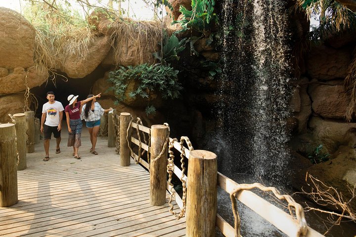Tour al Aviario Nacional - Image 4