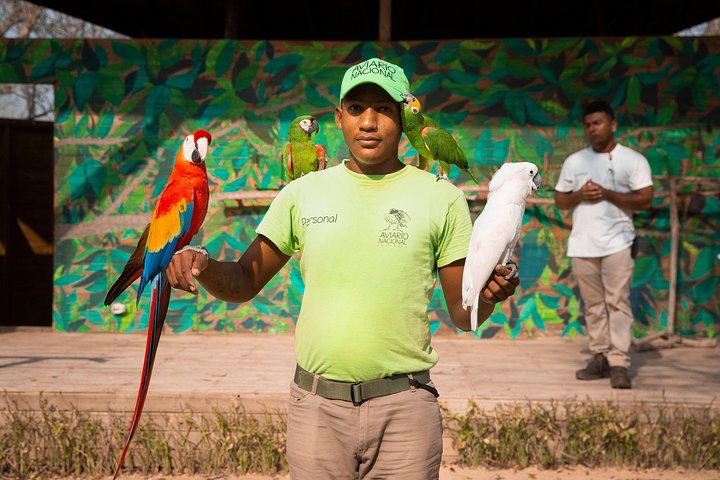 Tour al Aviario Nacional - Image 1