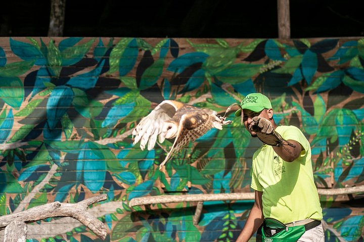 Tour al Aviario Nacional - Image 3