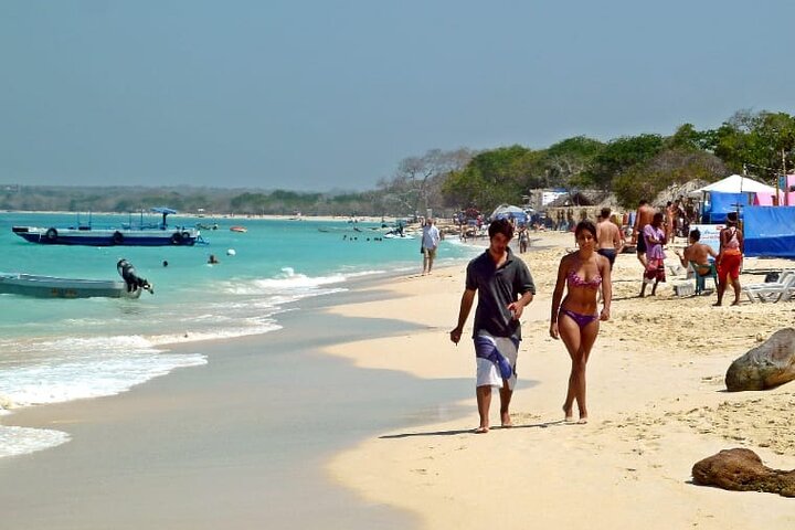 tour to baru all day and night plankton - Image 3