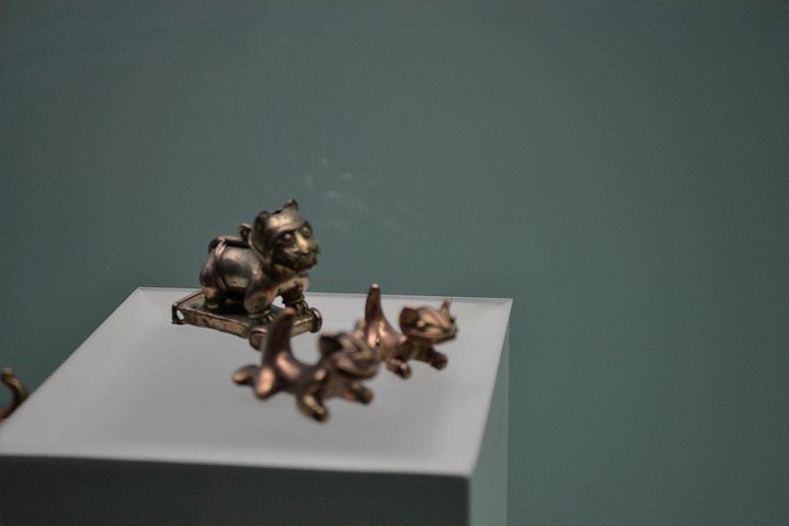Zenu indigenous immersive tour - Image 4