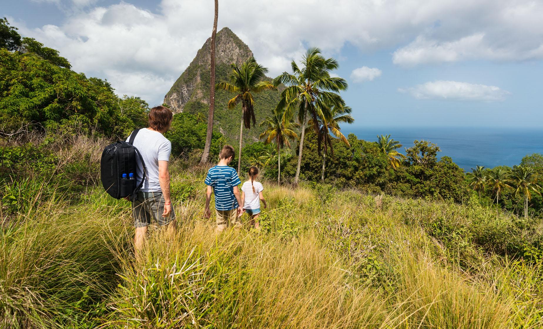 Mt. Pimard Nature Trail Hike - Image 1