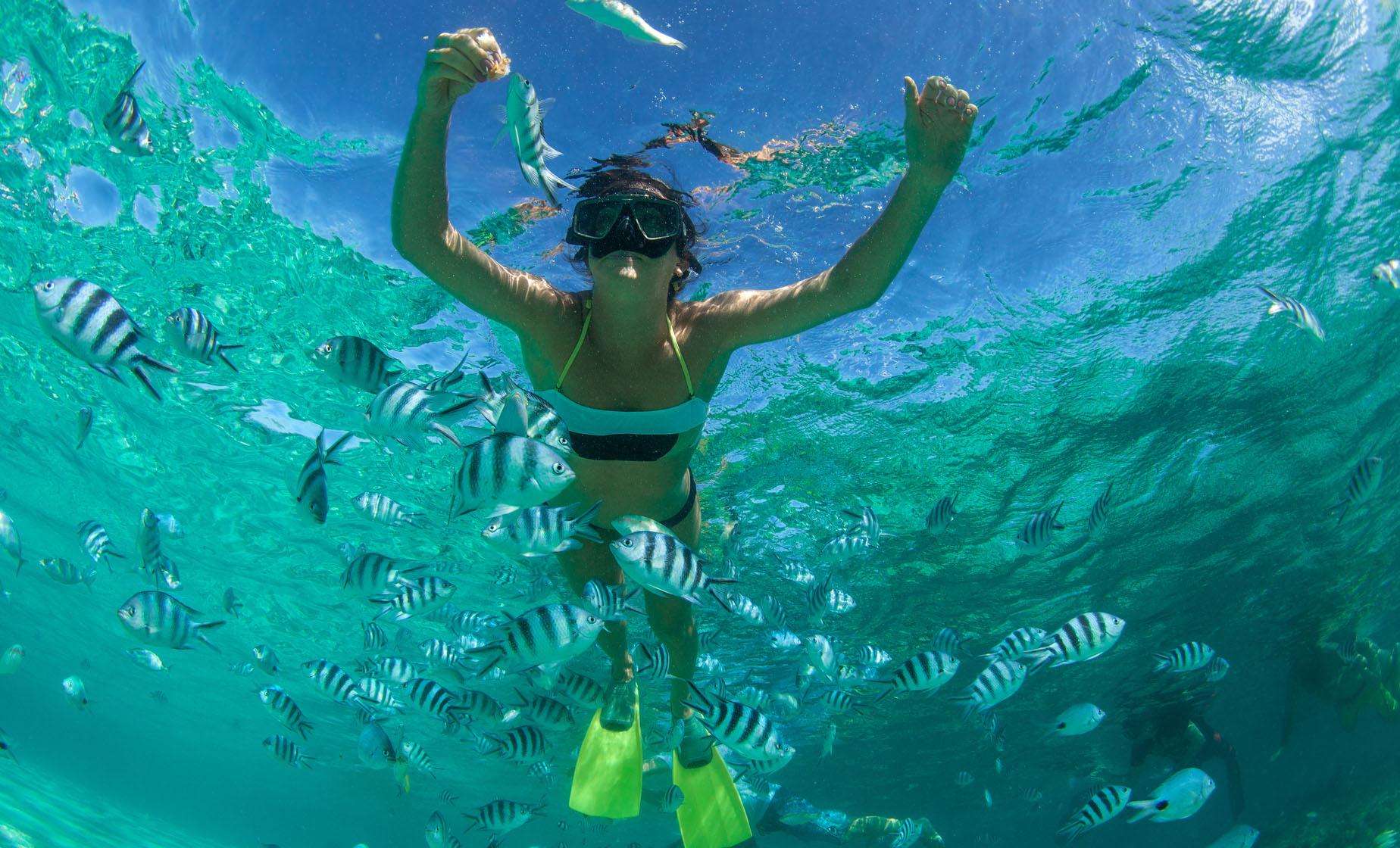St Lucia Snorkeling - Image 1