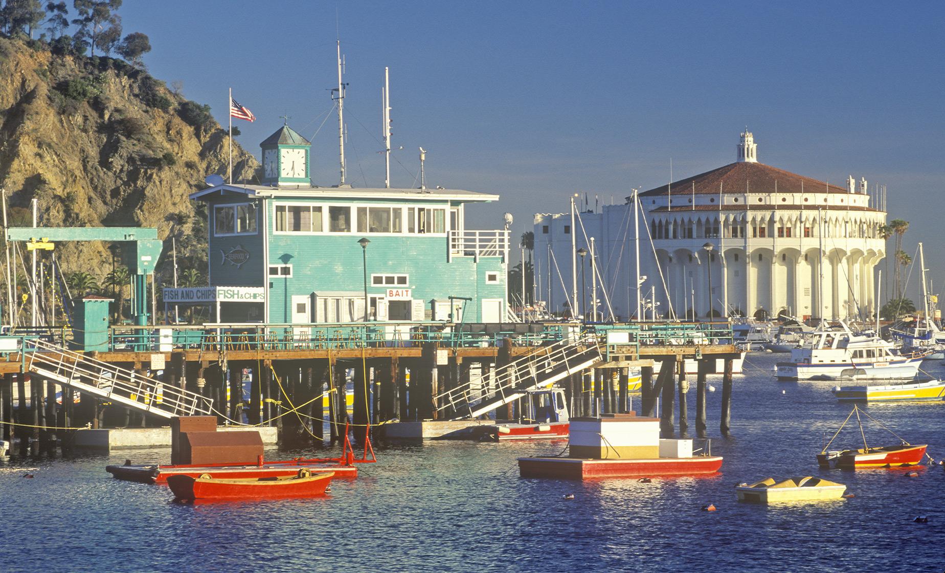 Amazing Catalina Scavenger Hunt - Image 1