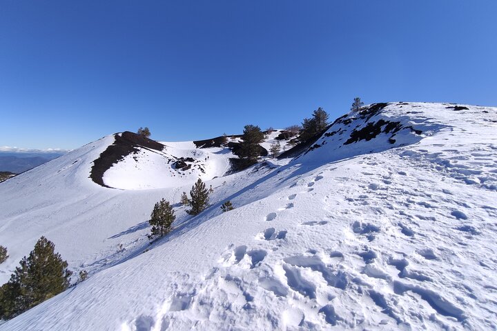 Etna and Alcantara Gorges Excursion - Image 4