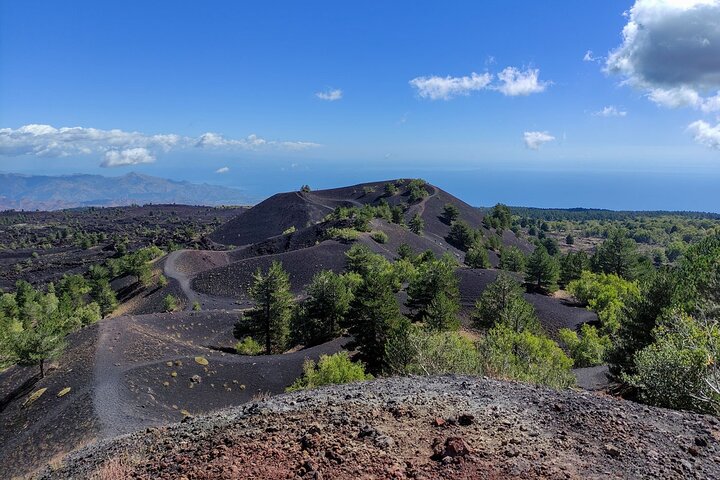 Etna and Alcantara Gorges Excursion - Image 2