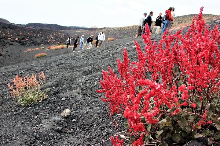 Etna Morning Trip - Image 2