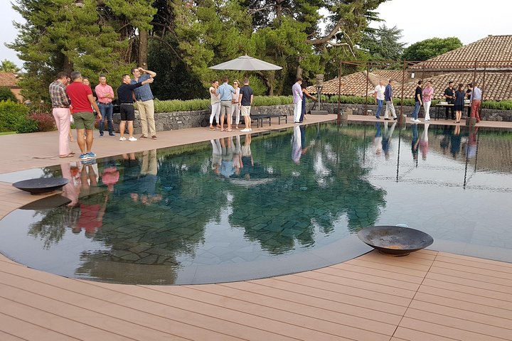 Etna Scenic Tour & Wine Experience (Full Day) - Image 5