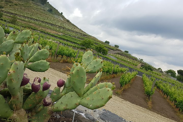 Etna Scenic Tour & Wine Experience (Full Day) - Image 1