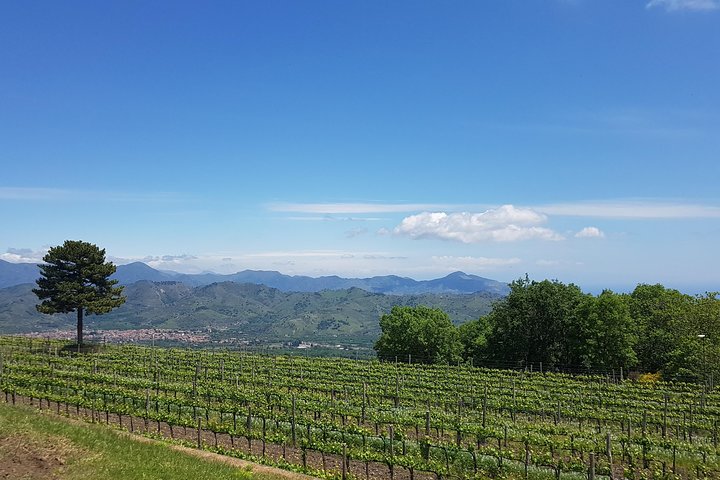 Etna Scenic Tour & Wine Experience (Full Day) - Image 2