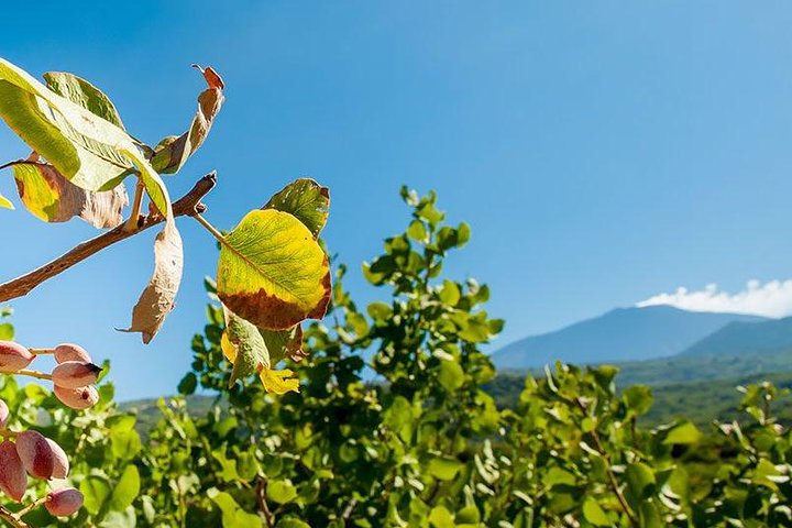 Etna tour and pistachio lunch - Sicily Hiking Tour - Image 1
