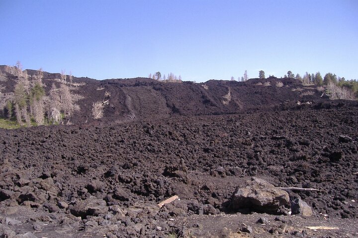 Etna tour with lunch and wine tasting in the cellar - Image 5