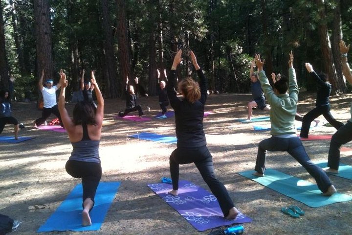 Etna Volcanic Yoga and Meditation - Private Experience - Image 2