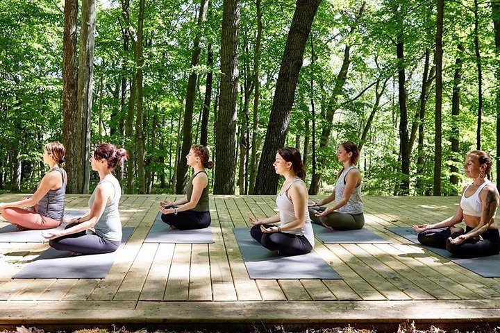 Etna Volcanic Yoga and Meditation - Private Experience - Image 1