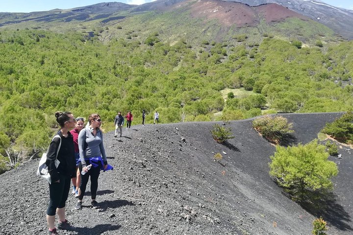 Etna, Wine and Alcantara Tour - Small Groups from Taormina - Image 3