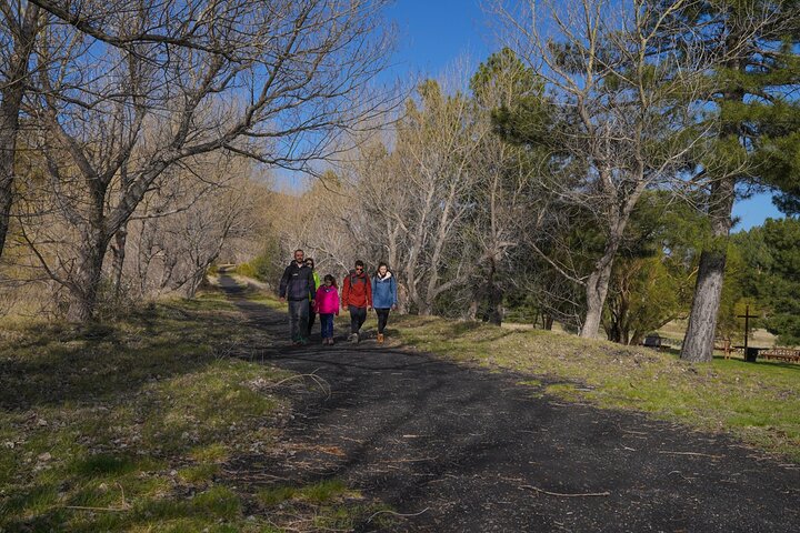Mount Etna nature and flavors half day Tour from Taormina - Image 3
