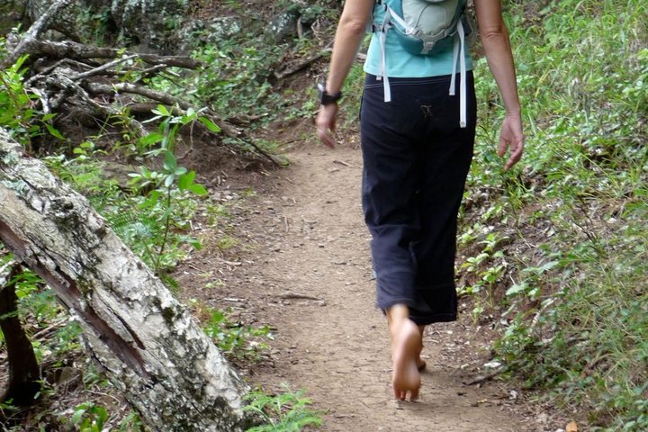 Park Therapy and Barefooting  - Image 4