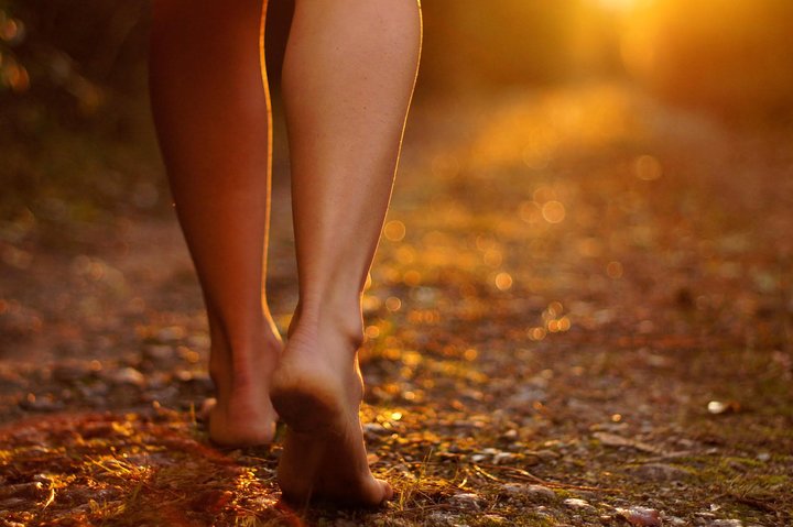 Park Therapy and Barefooting  - Image 3