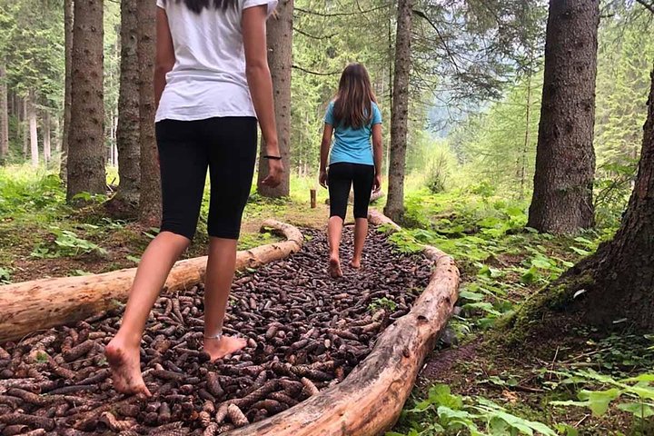 Park Therapy and Barefooting  - Image 5