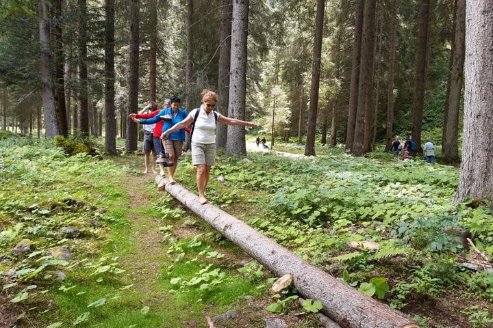 Park Therapy and Barefooting  - Image 2