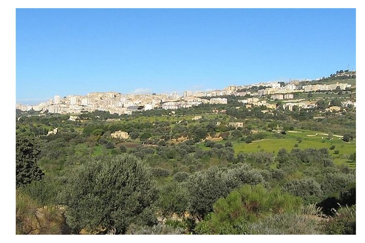 Private Full-Day Tour of Agrigento and Piazza Armerina - Image 2